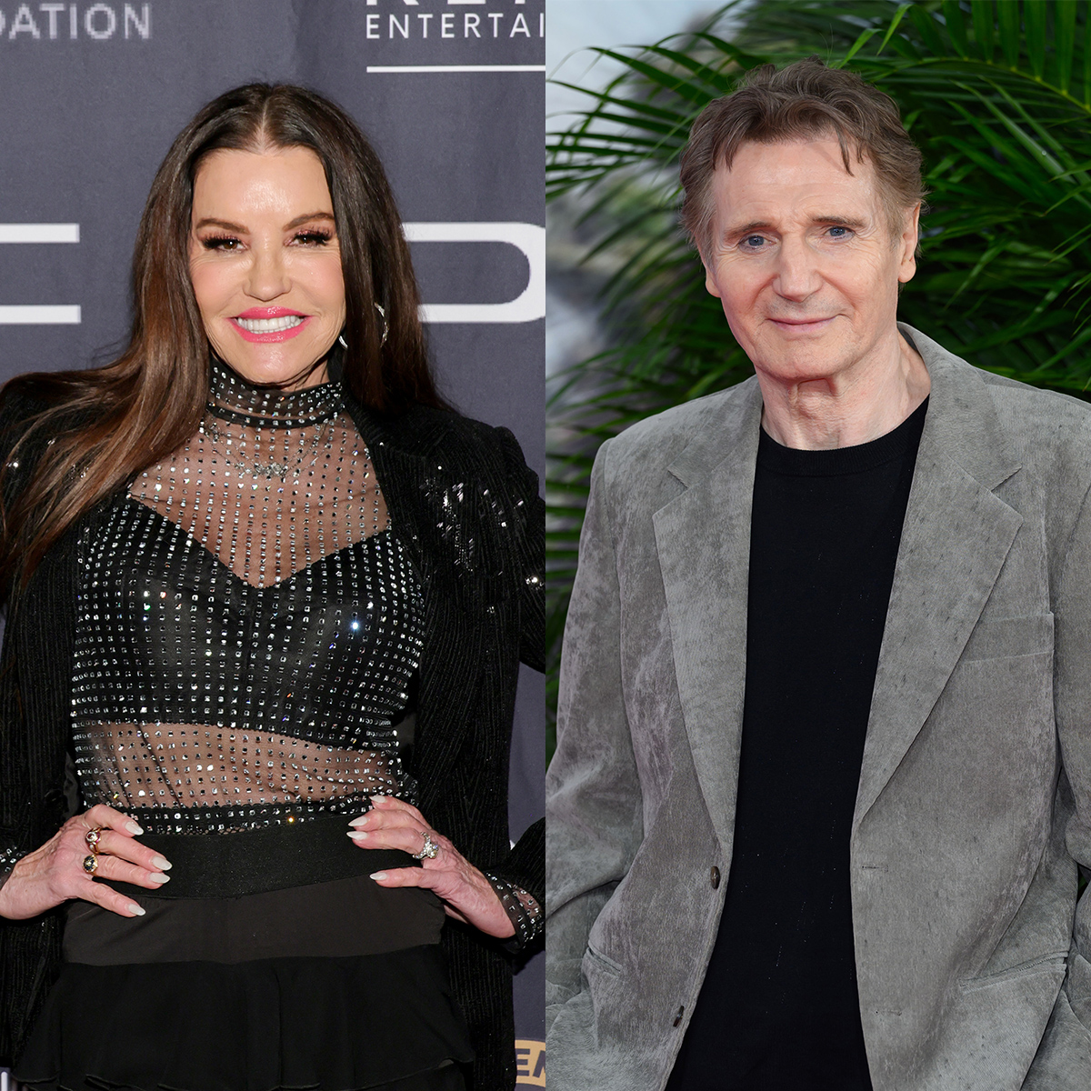 Janice Dickinson Has a Very Detailed Analysis of Liam Neeson's Penis thumbnail