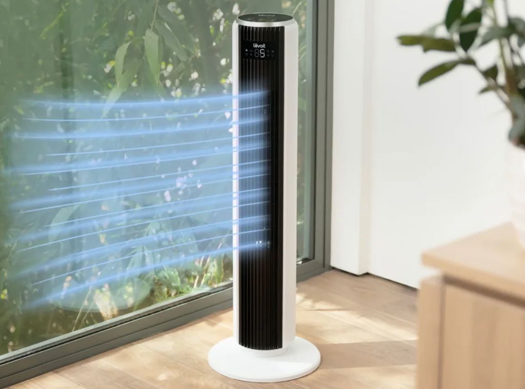 SHOP I Can’t Sleep Without This Cooling Fan predominant image