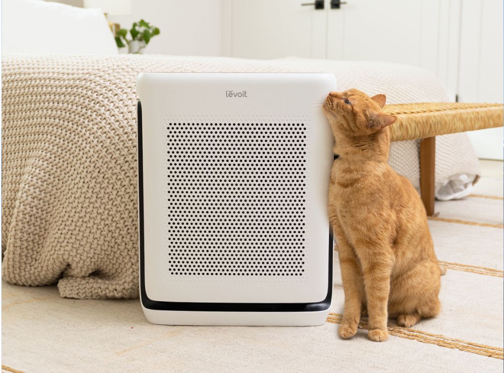 air purifier hero image 2.jpg