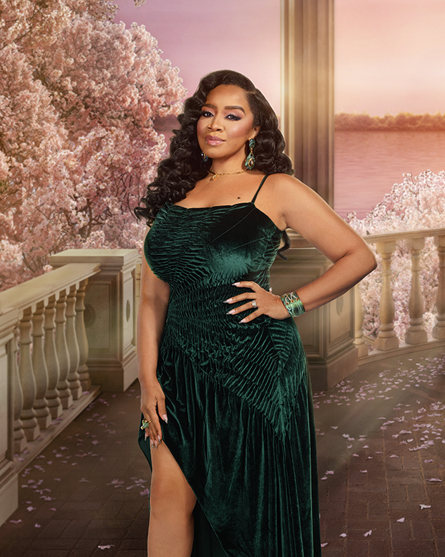The Real Housewives of Potomac Season 10 Cast Photos