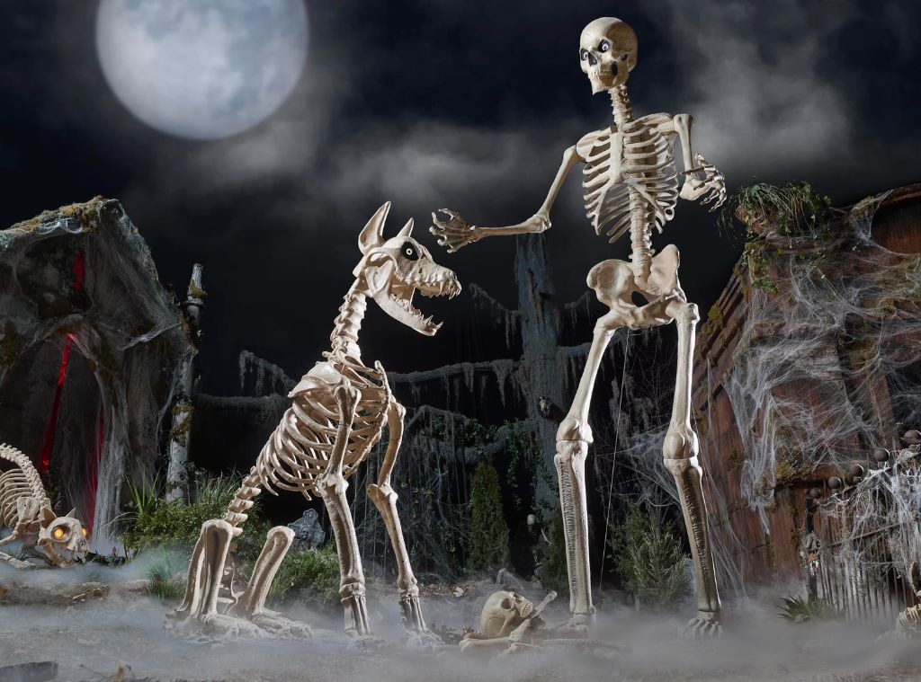 skelly hero image.jpg