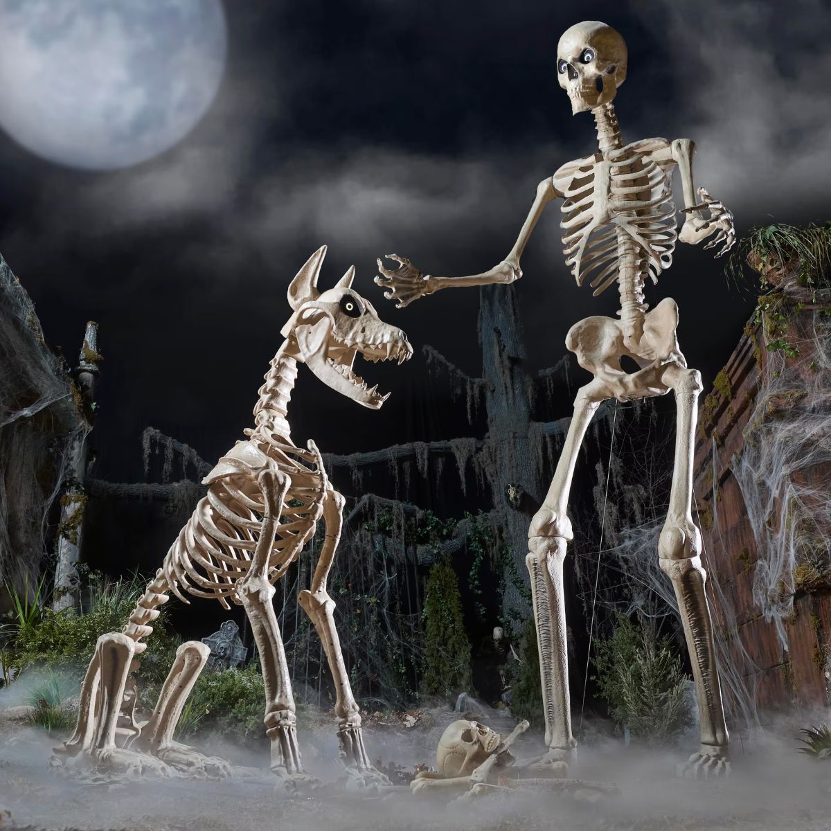 skelly thumbnail.jpg