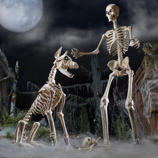 skelly thumbnail.jpg