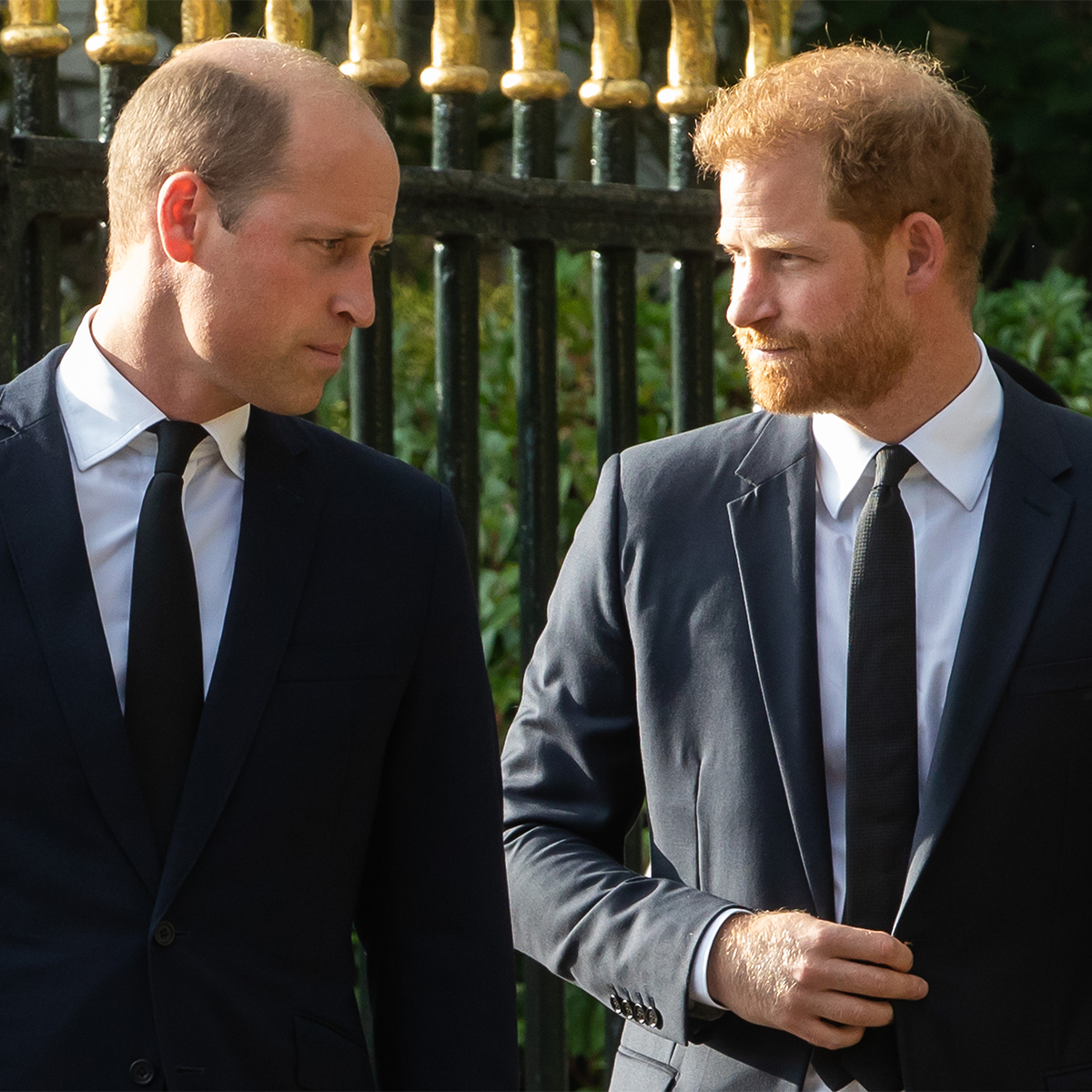 
                        Prince Harry Jokes About Brother Dynamics Amid Prince William Rift
       ...