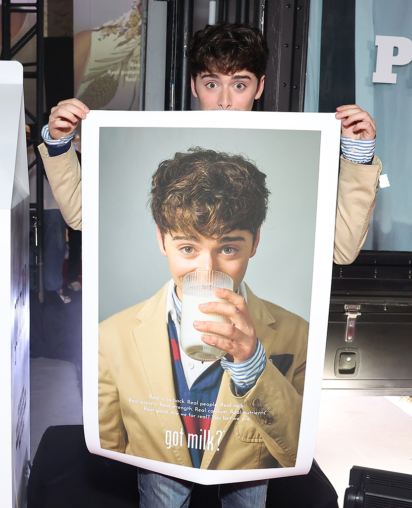 Noah Schnapp, Big Pic