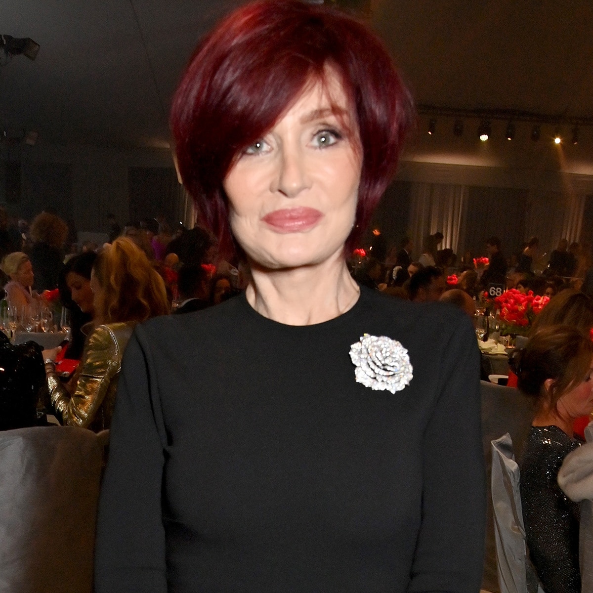 Sharon Osbourne Shares Unique New Hobby After Ozzy Osbourne's Death