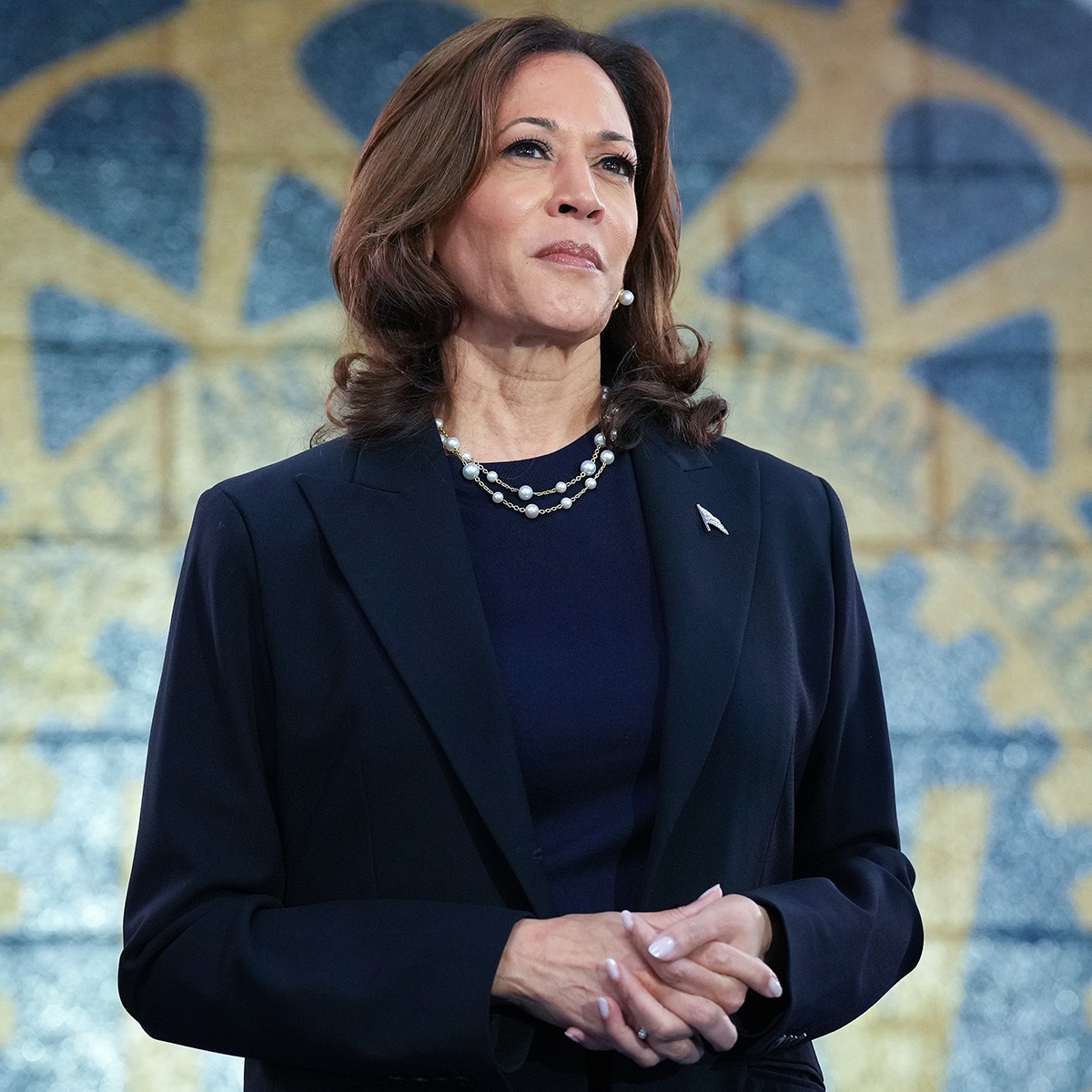 Kamala Harris Addresses Doug Emhoff's Affair During His First Marriage
