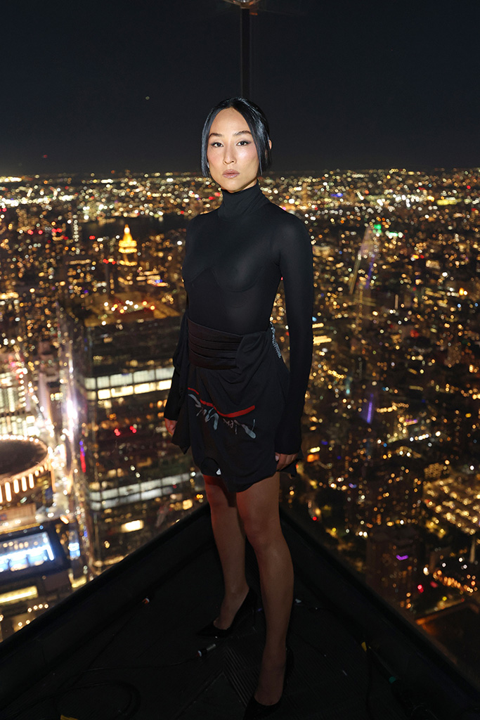 Greta Lee, Big Pic