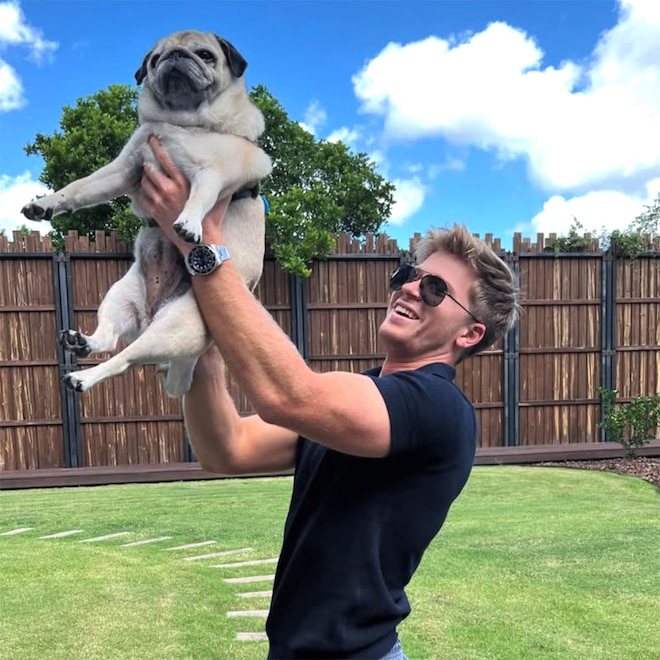 Robert Irwin, Stella the Pug