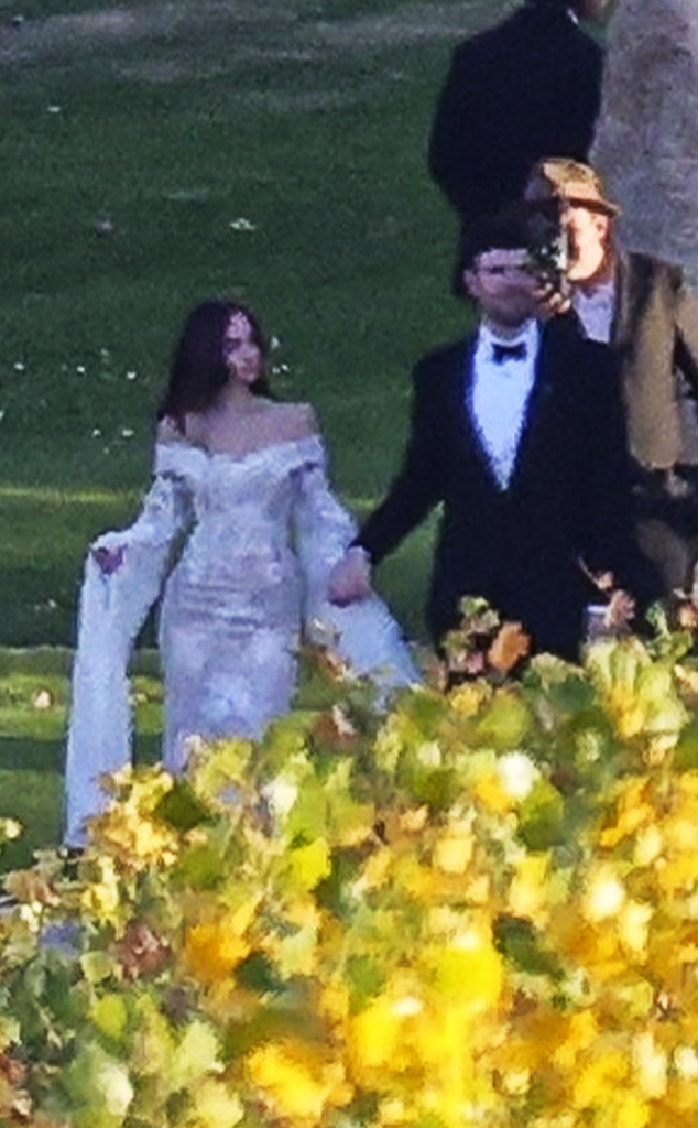 Melanie Griffith, Antonio Banderas' Daughter Stella's Wedding