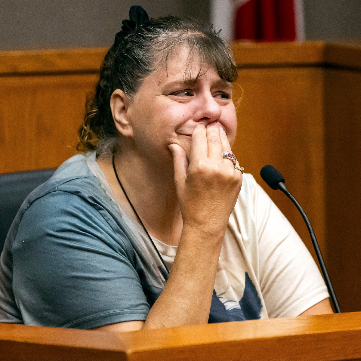 Perfect Neighbor: Why Susan Lorincz's Sister Ellyn Was Arrested