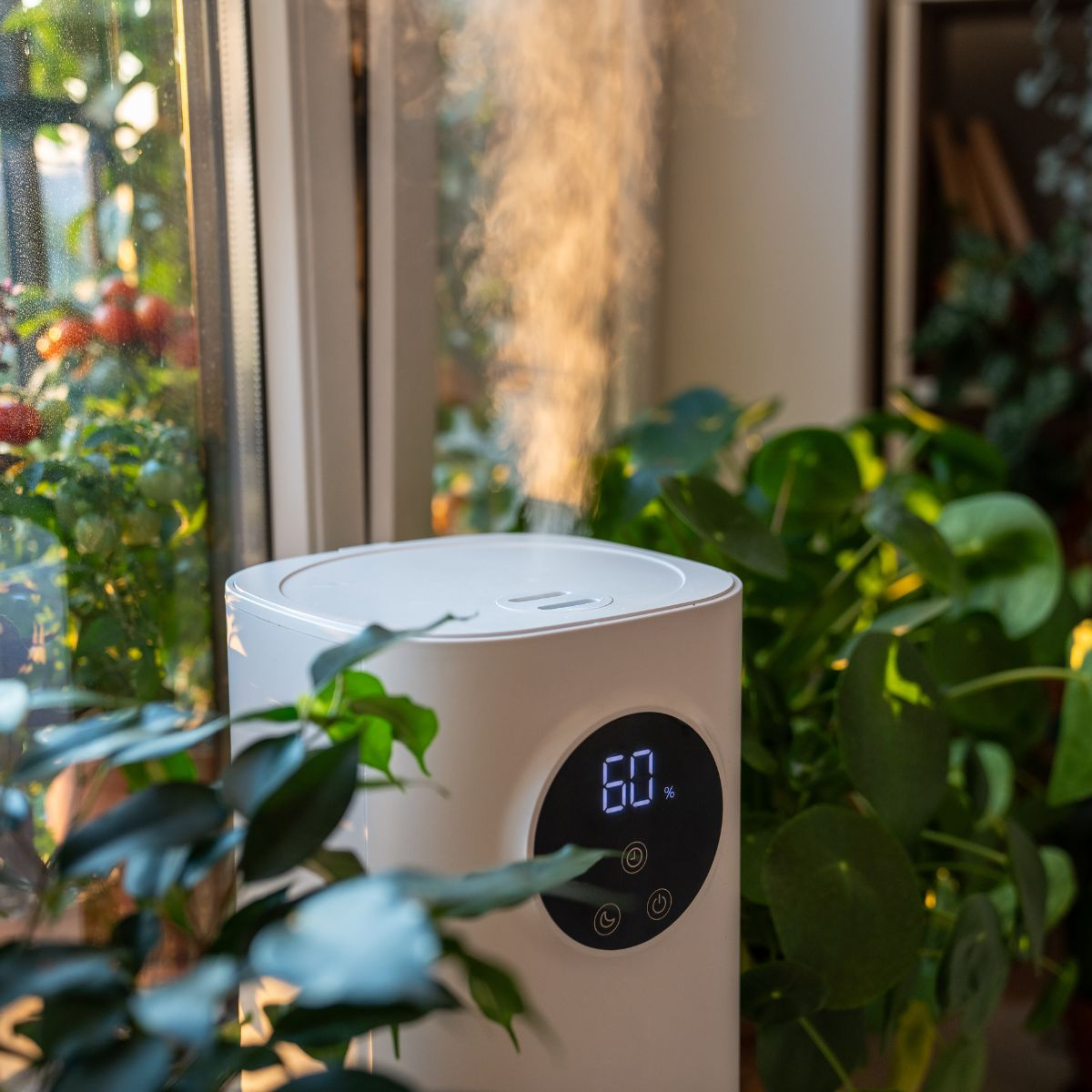 The Best Humidifier For Dry Skin