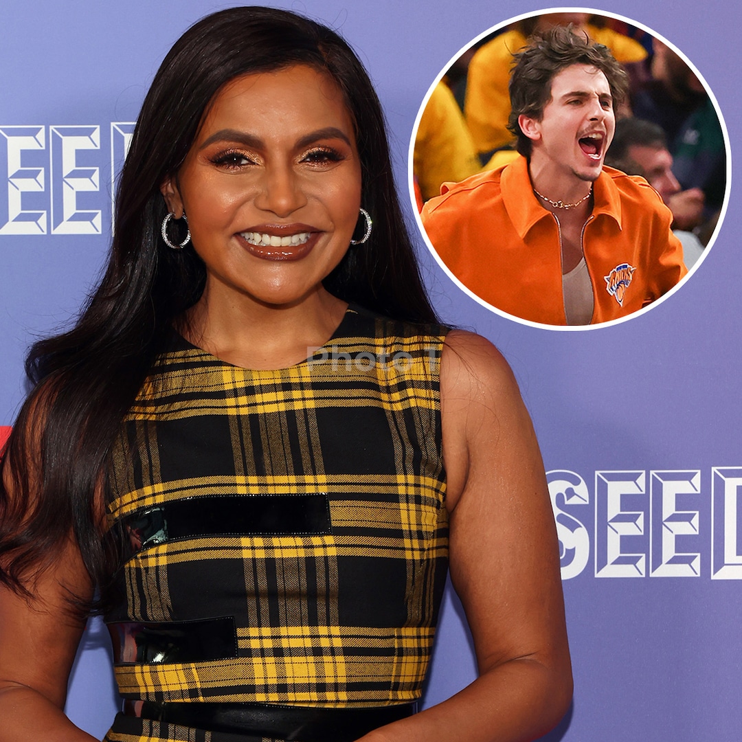 Mindy Kaling's Timothée Chalamet Halloween Costume Is a Slam Dunk