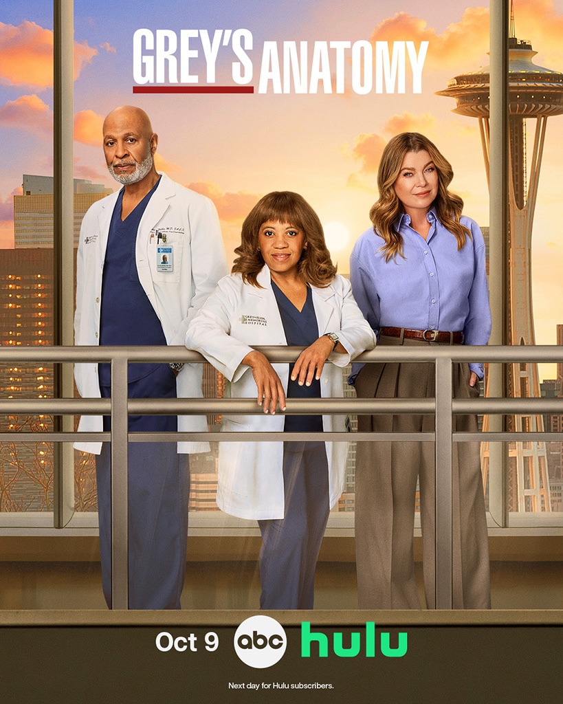 Grey's Anatomy secrets, season 22 art