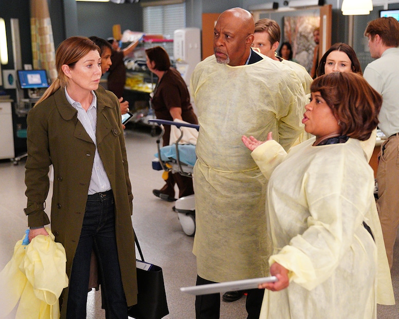 Grey's Anatomy secrets, Chandra Wilson, Ellen Pompeo, James Pickens Jr.