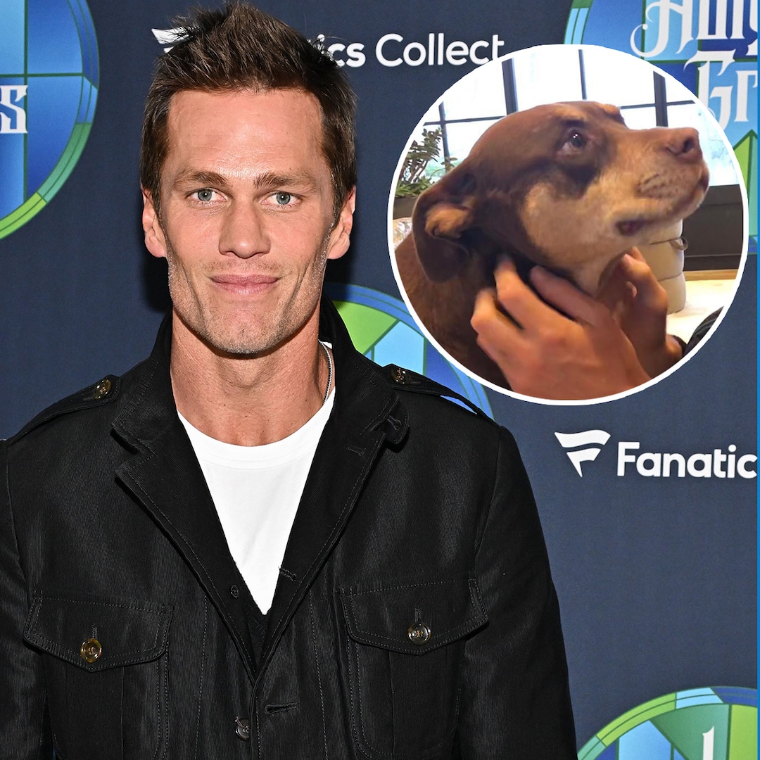 Tom Brady Reveals His Dog Junie Is a Clone of His Late Dog Lua Tom Brady Reveals His Dog Junie Is a Clone of His Late Dog Lua