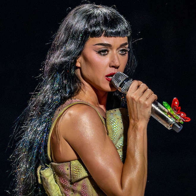 Katy Perry, Lifetimes Tour