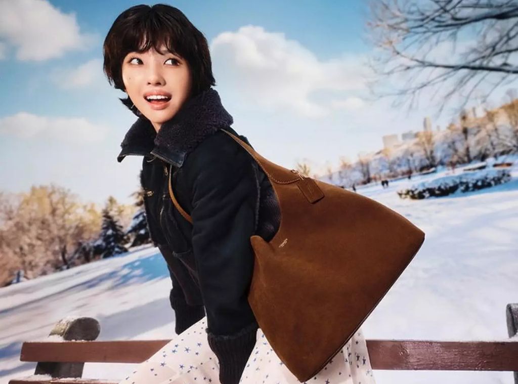 Coach Brooklyn Bag Main.jpg