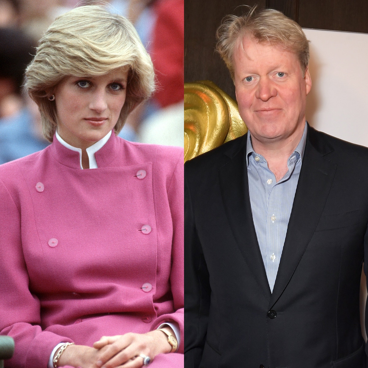 Charles Spencer, Princess Diana