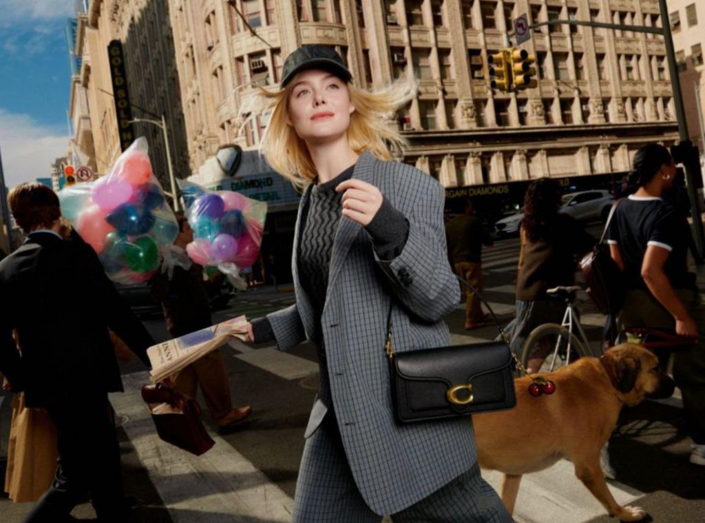 tabby hero image.jpg