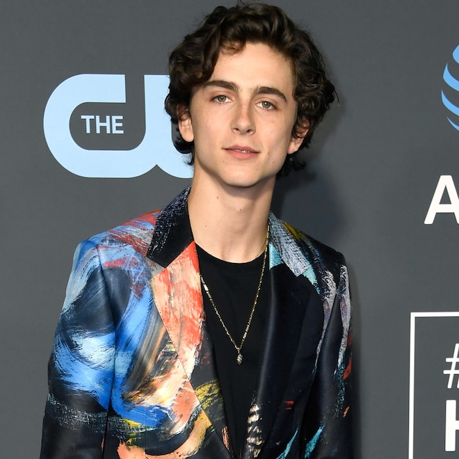 Timothee Chalamet, 2019 Critics Choice Awards