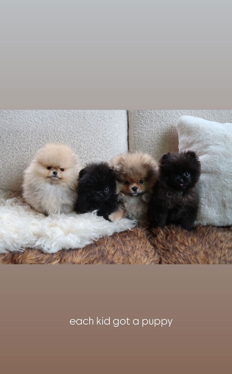 Kim Kardashian comparte foto de sus nuevos perros