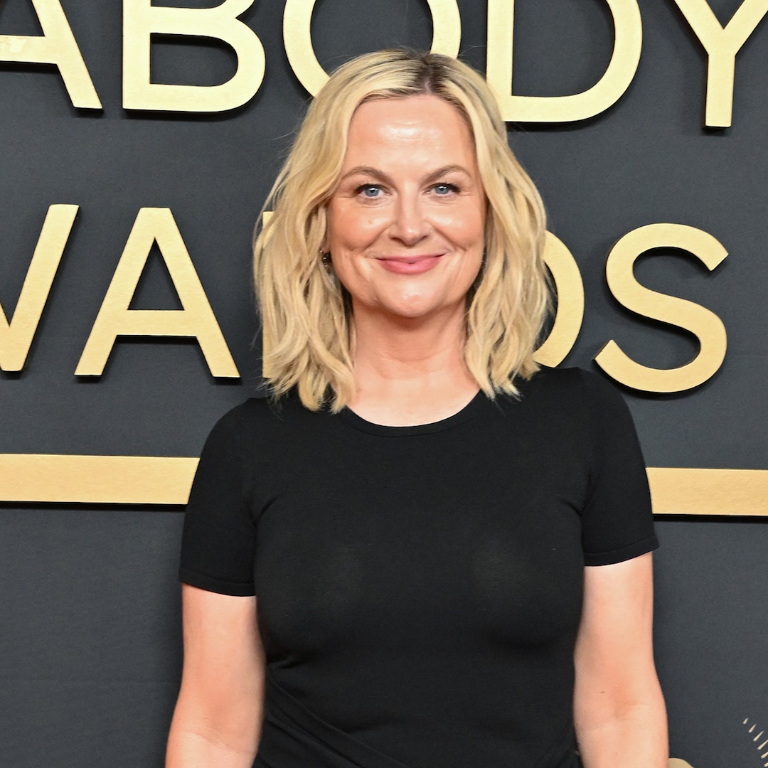Amy Poehler y Ana Gasteyer pelearon en un avión por el bebé