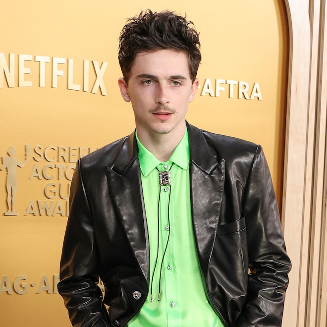 Timothee Chalamet arrives at the SAG Awards 2025 red carpet