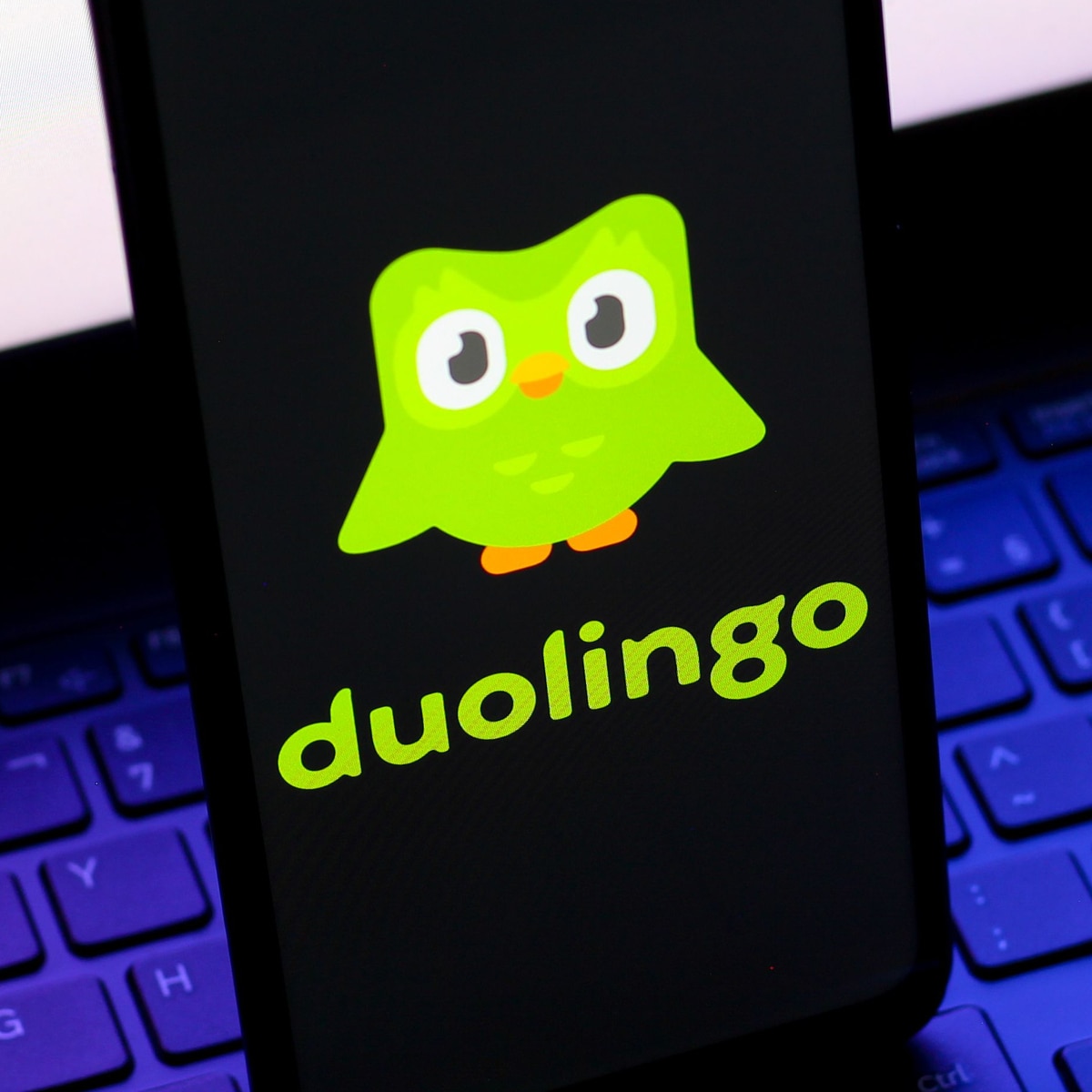 Duolingo Owl