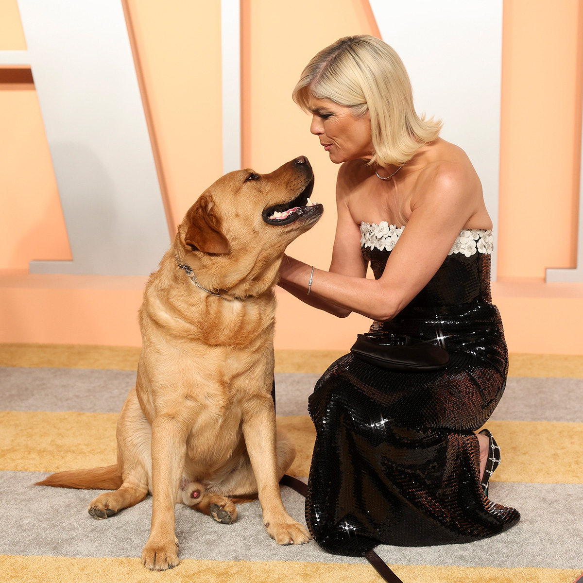 Oscars 2025: Selma Blair’s Service Dog Steals the Show at Vanity Fair After-Party - E! Online