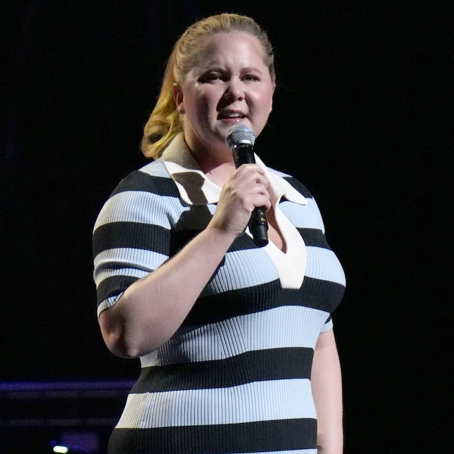 Amy Schumer, Big Pic