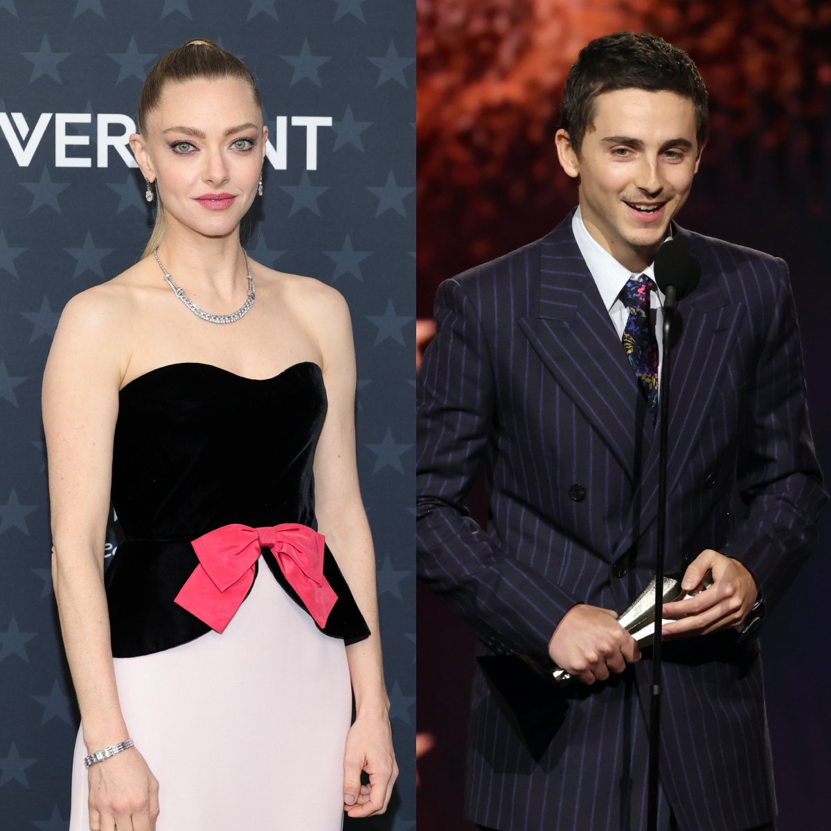 Amanda Seyfried Confused by Timothée Chalamet’s Kylie Jenner Shoutout