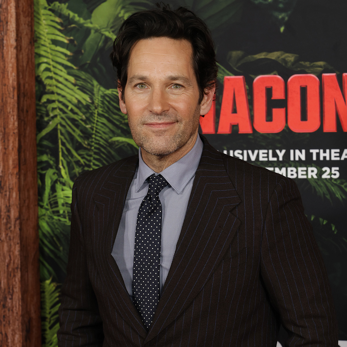 Пол Ръд се шегува за това, че има огромен пенис