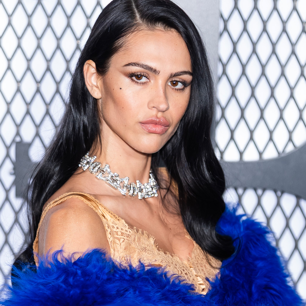 Amelia Gray Hamlin, Lisa Rinna’s Daughter, on Plastic Surgery