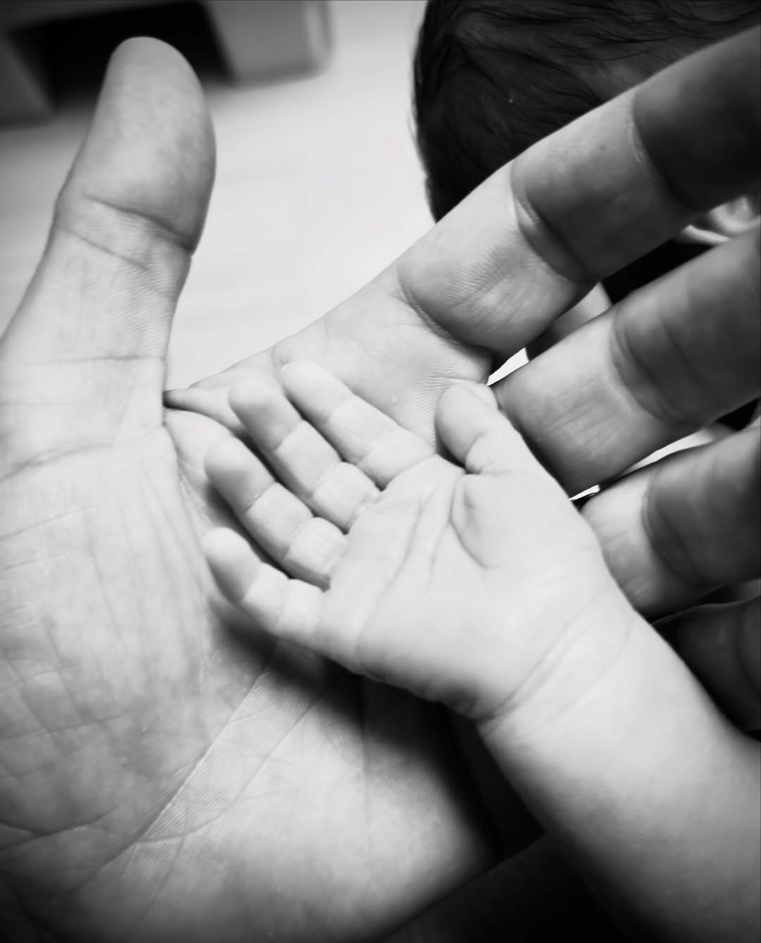 Patrick Adams, Troian Bellisario's new baby