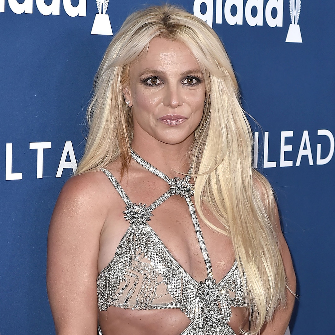 Alegações de abuso doméstico de Britney Spears: ‘Lucky to Be Alive’ Alegações de abuso doméstico de Britney Spears: ‘Lucky to Be Alive’