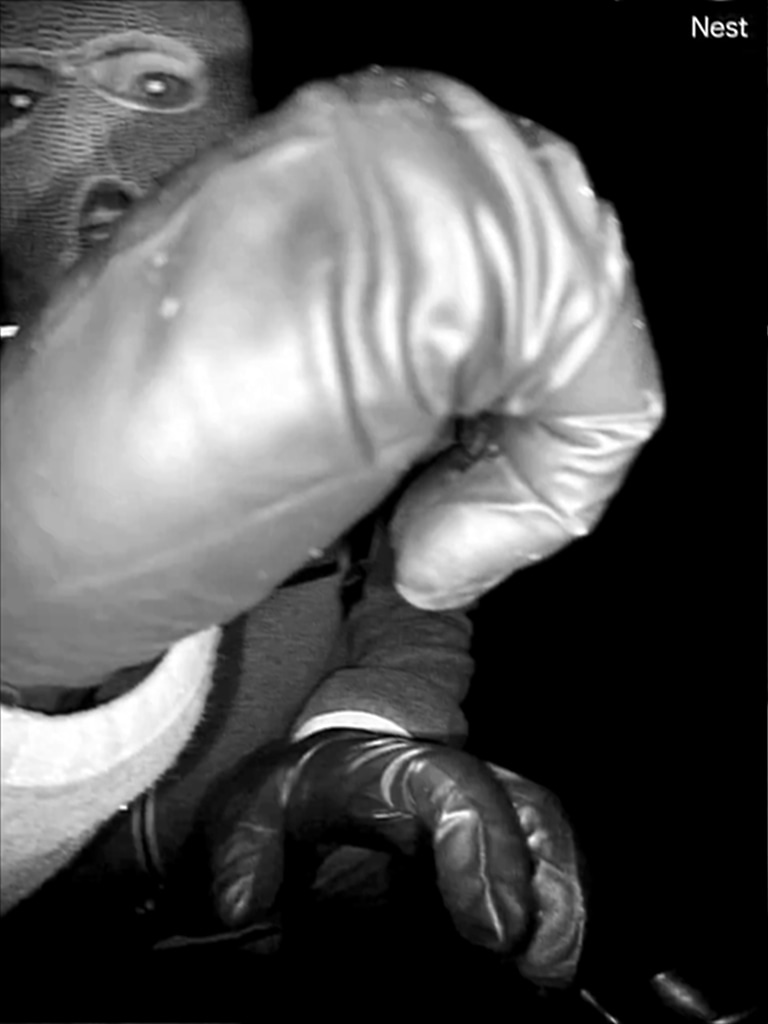 Nancy Guthrie suspect, Pima County Sheriff’s Department