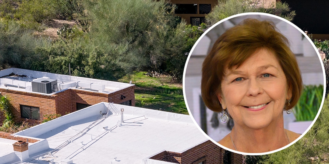 Nancy Guthrie Case: Luke Daley on Detainment, Release