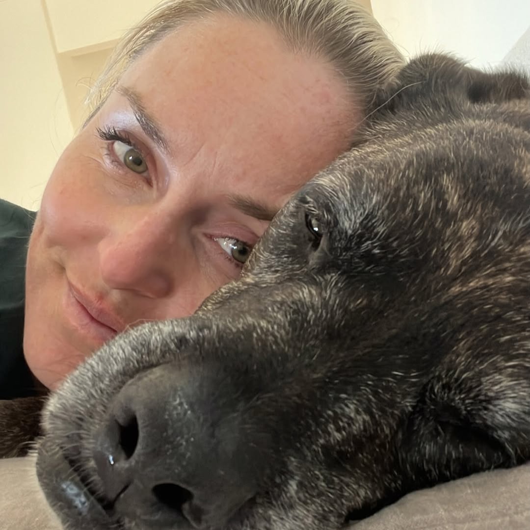 Lindsey Vonn Dog morreu após acidente nas Olimpíadas de 2026, lesão