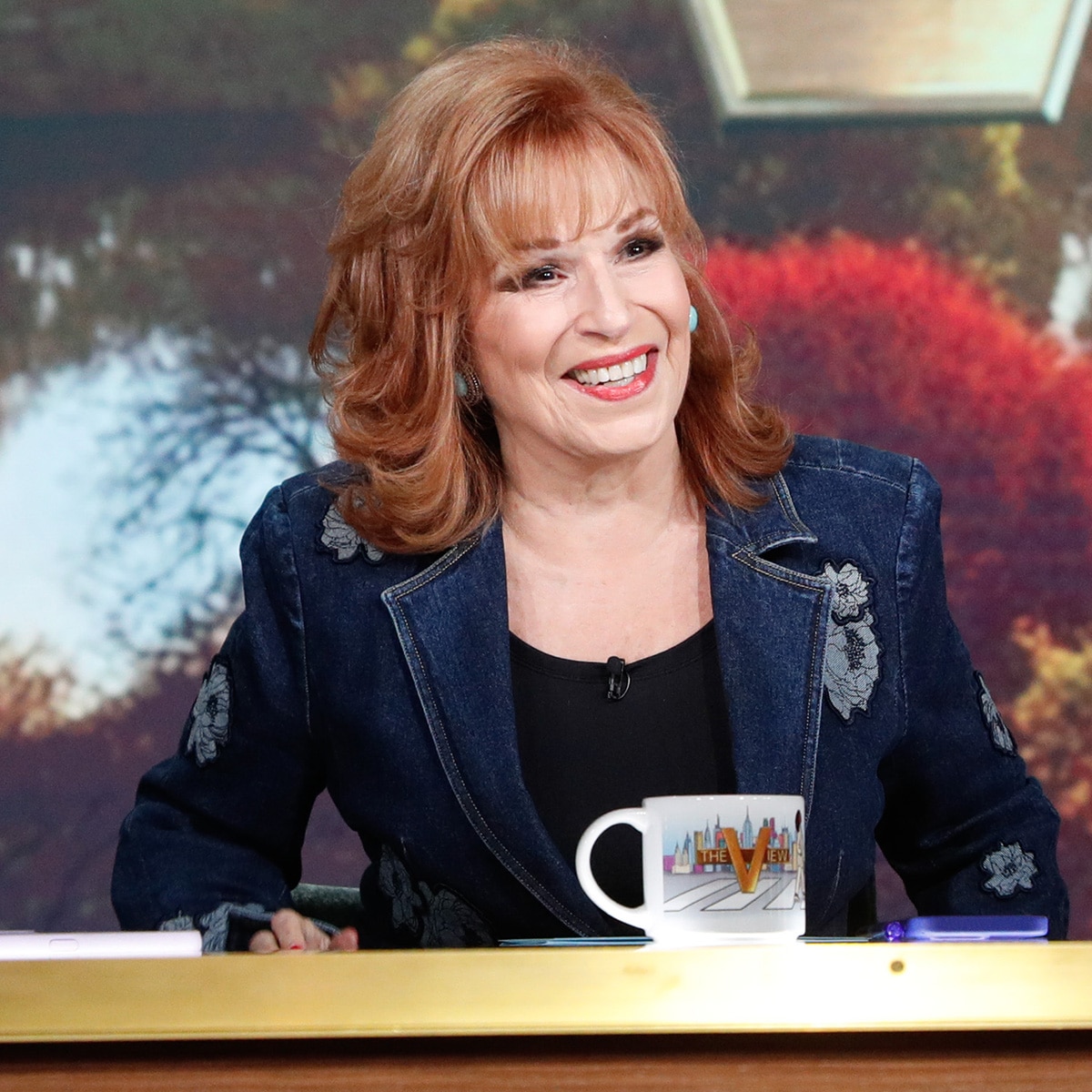 Joy Behar, The View