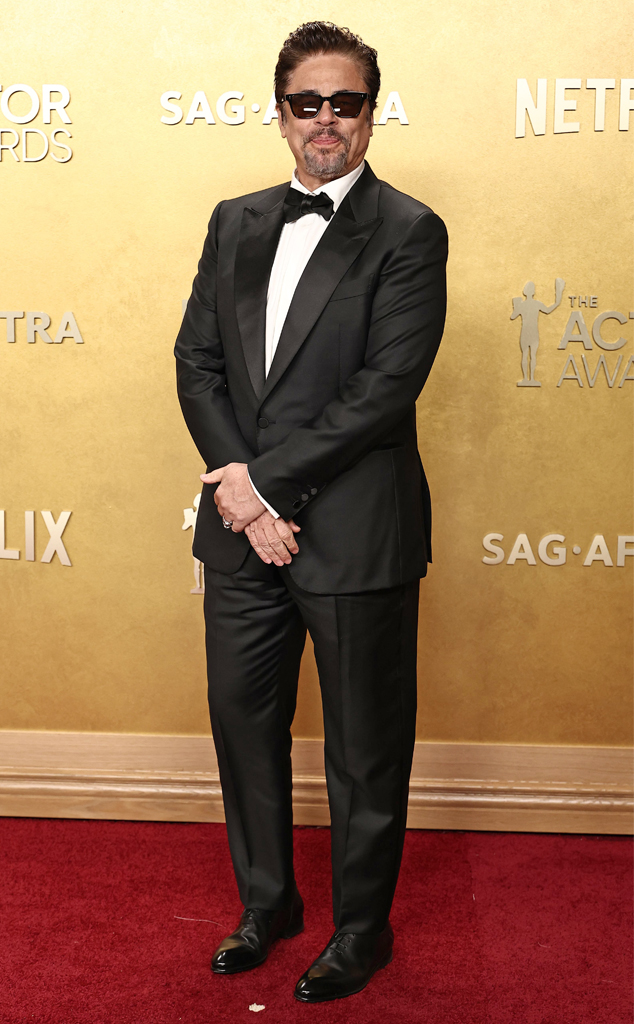 Benicio del Toro arrives at the Actor Awards 2026 red carpet