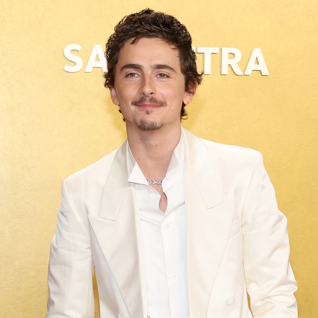 Moda no tapete vermelho de Timothée Chalamet