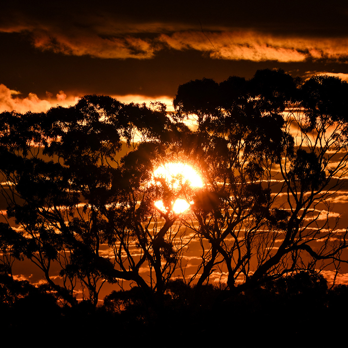 Australia Red Sky: Tropical Cyclone Narelle