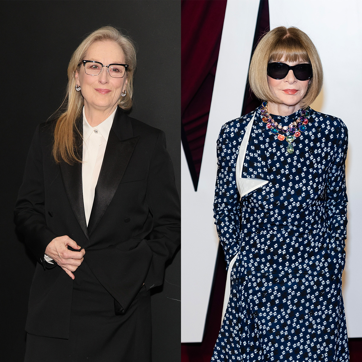 Meryl Streep and Anna Wintour Are Actually Related