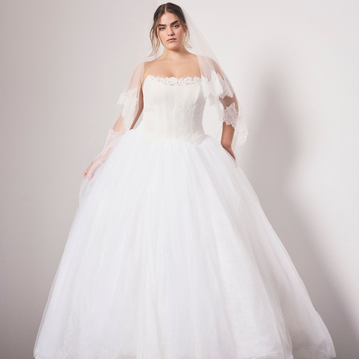 David's Bridal and Vera Wang Bridal Collection: Wedding Dresses
