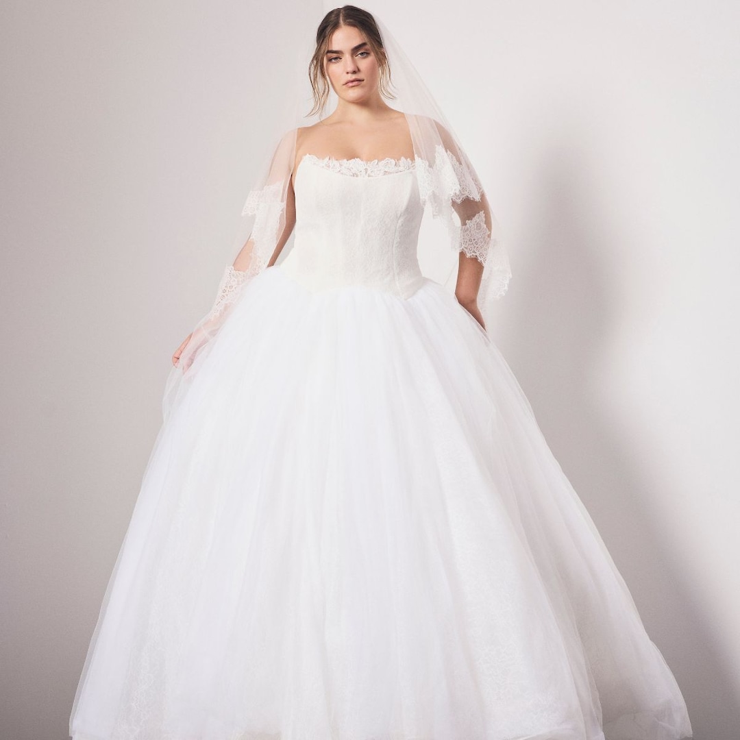David’s Bridal and Vera Wang Bridal Collection: Wedding Dresses David’s Bridal and Vera Wang Bridal Collection: Wedding Dresses