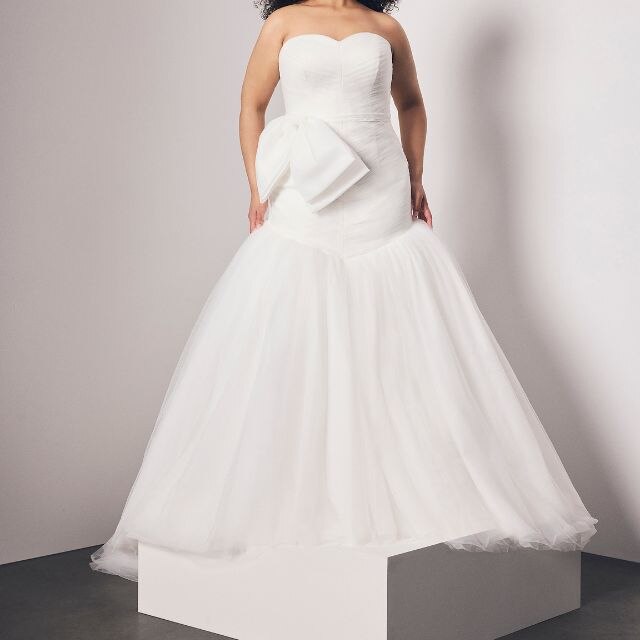 David's Bridal and Vera Wang Bridal Collection: Wedding Dresses David's Bridal and Vera Wang Bridal Collection: Wedding Dresses