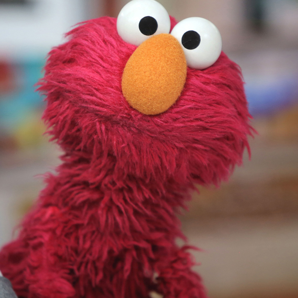 Elmo Sends Shockingly Sweet Message to Rocco for Earth Day