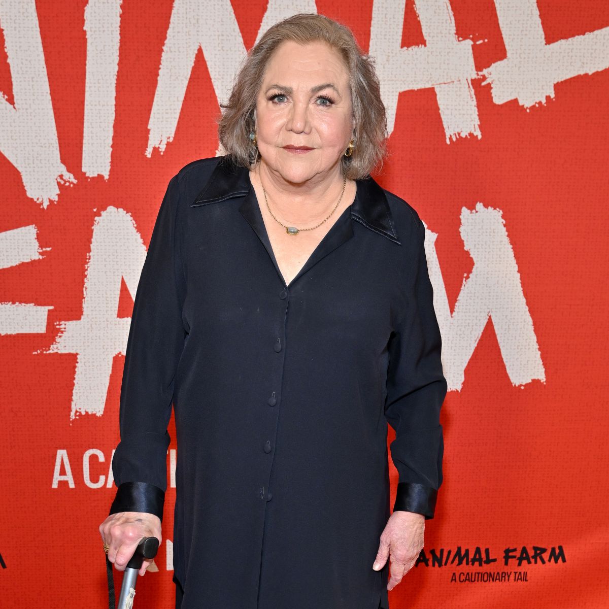 Kathleen Turner, 71, Makes Rare Red Carpet Appearance