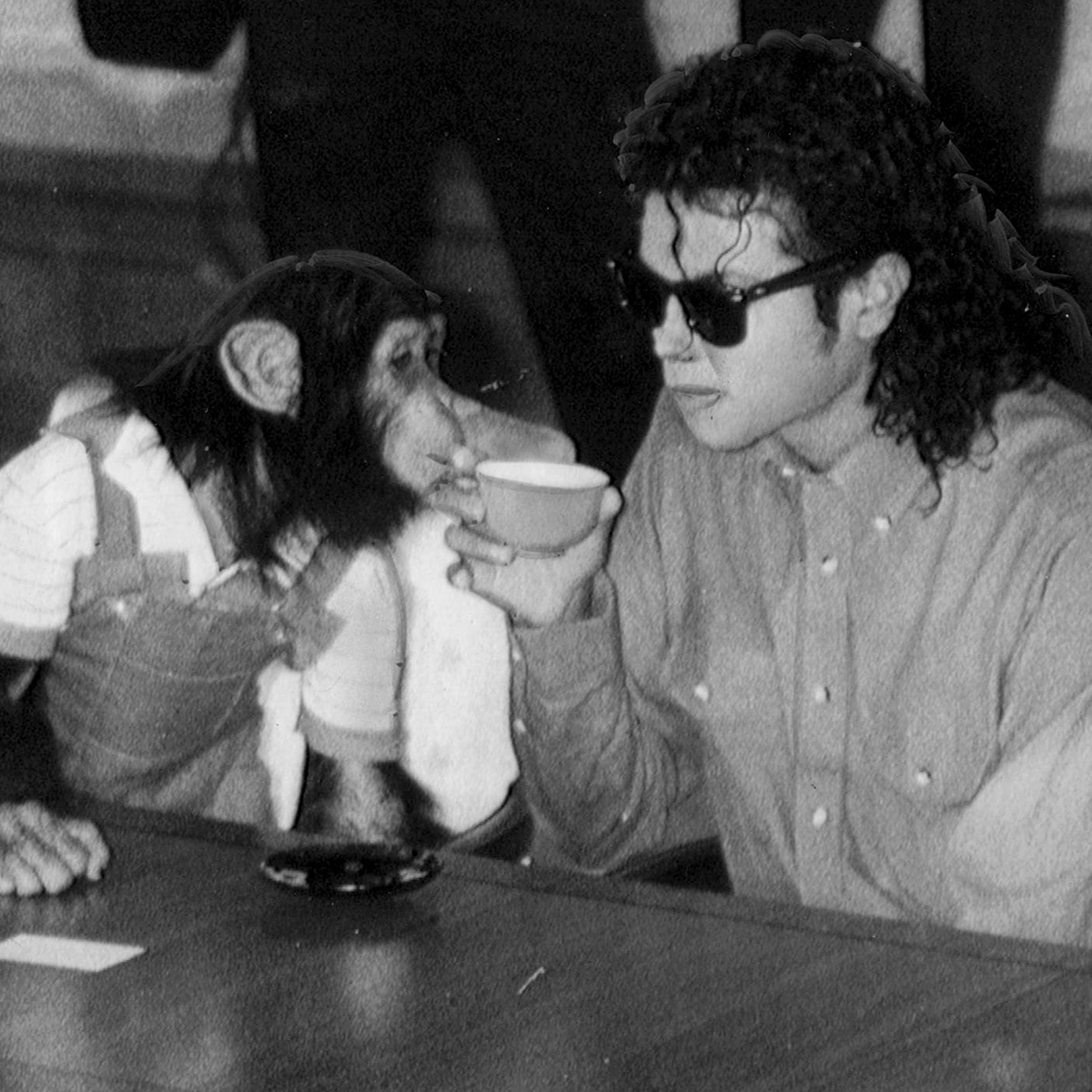 Michael Jackson Chimpanzee Bubbles: Where Is He Now